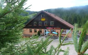 Domaine Des Hauts Viaux