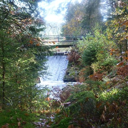 Domaine Des Hauts Viaux La Bresse Buitenkant foto
