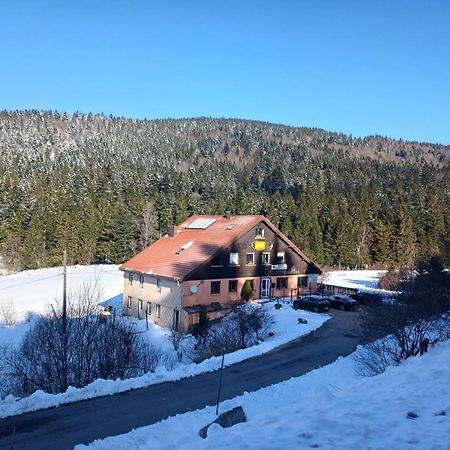 Domaine Des Hauts Viaux La Bresse Buitenkant foto