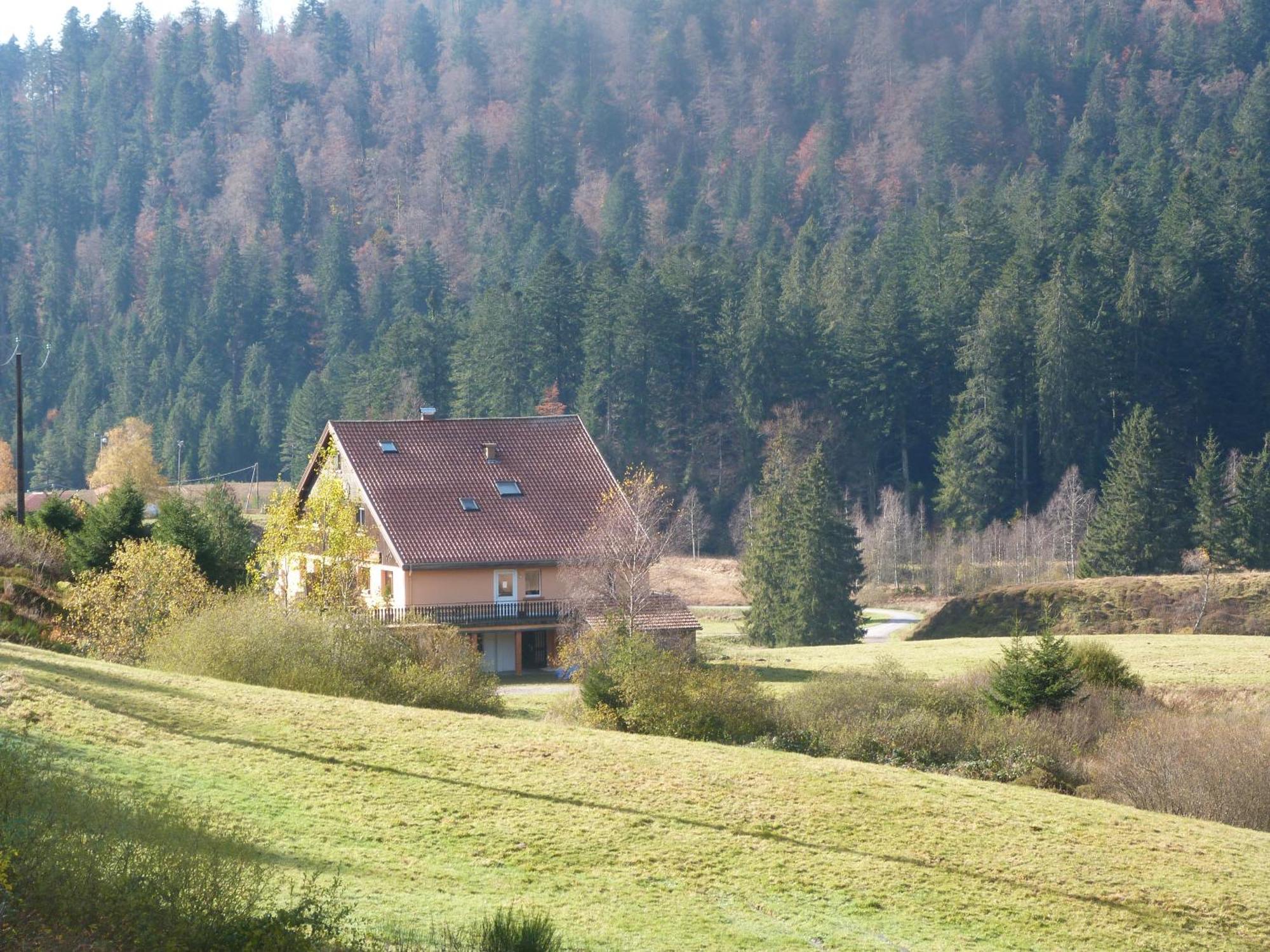 Domaine Des Hauts Viaux La Bresse Buitenkant foto