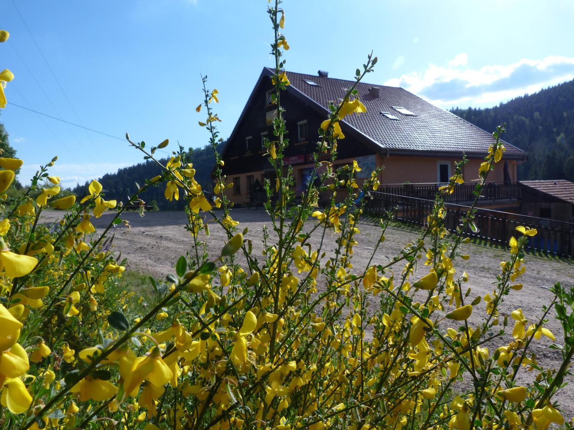 Domaine Des Hauts Viaux La Bresse Buitenkant foto