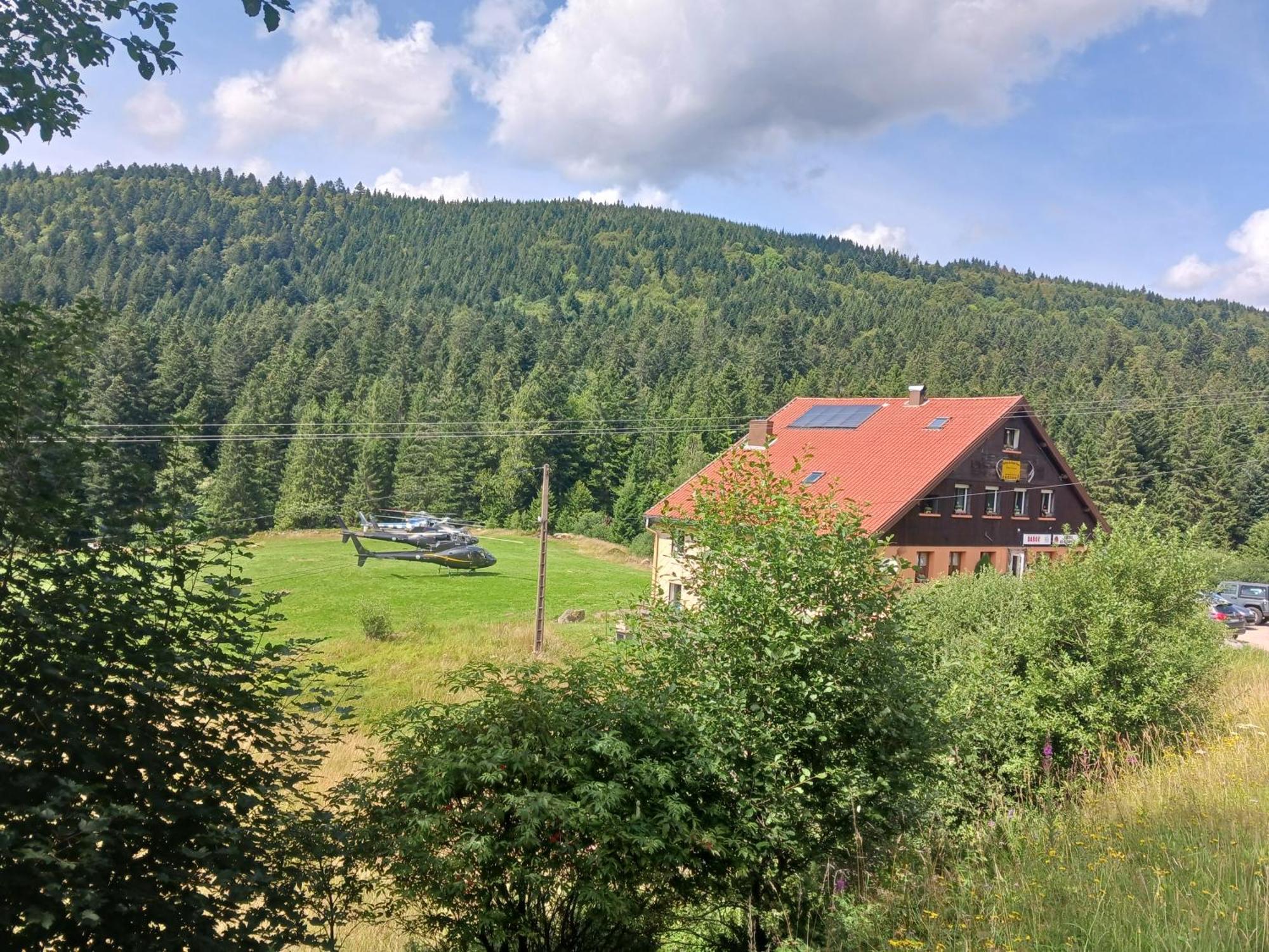 Domaine Des Hauts Viaux La Bresse Buitenkant foto
