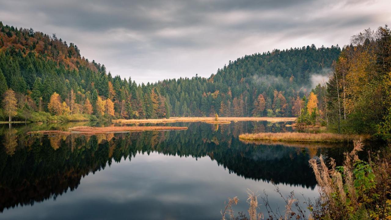 Domaine Des Hauts Viaux La Bresse Buitenkant foto