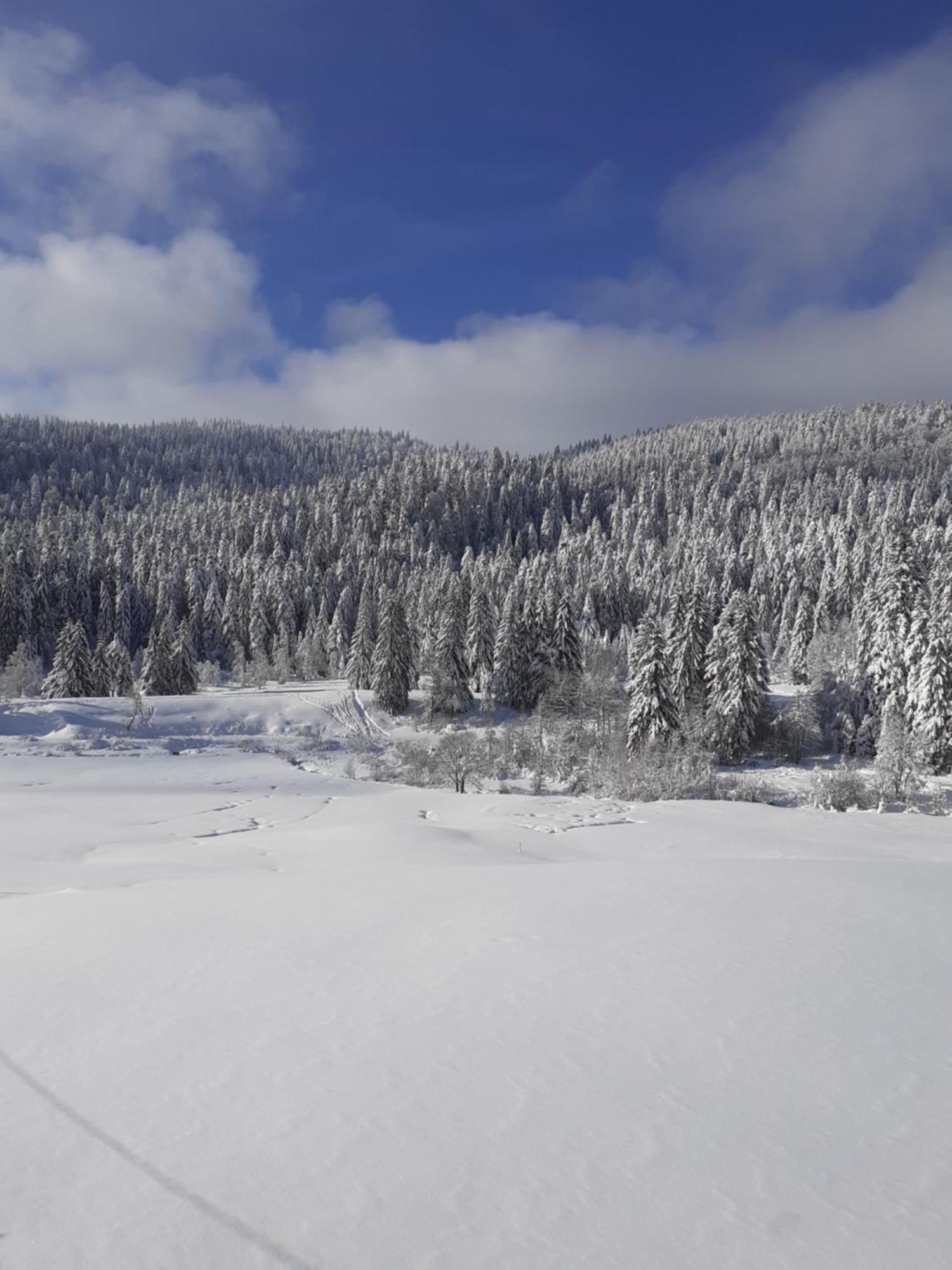Domaine Des Hauts Viaux La Bresse Buitenkant foto
