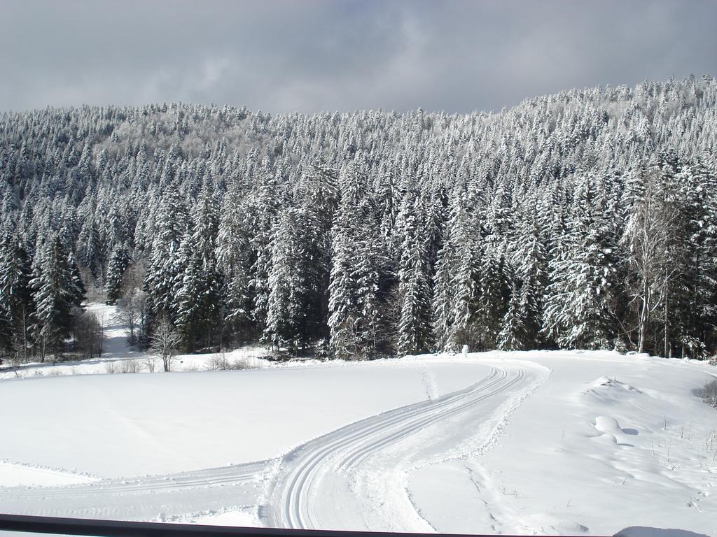 Domaine Des Hauts Viaux La Bresse Buitenkant foto