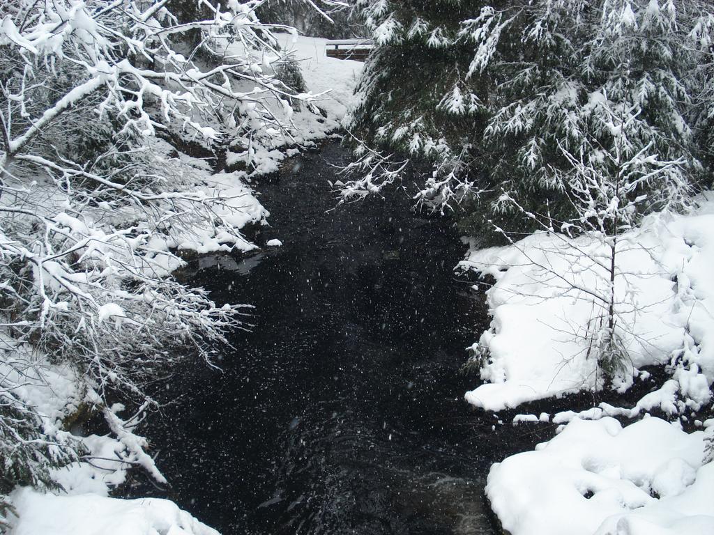 Domaine Des Hauts Viaux La Bresse Buitenkant foto