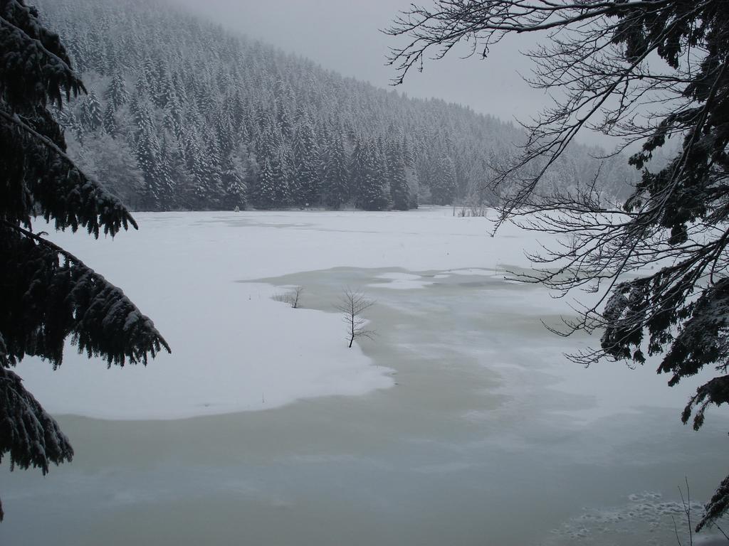 Domaine Des Hauts Viaux La Bresse Buitenkant foto