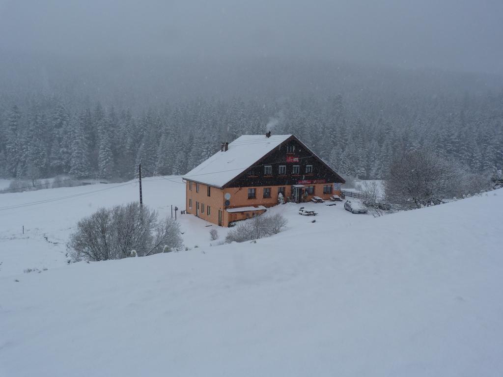 Domaine Des Hauts Viaux La Bresse Buitenkant foto