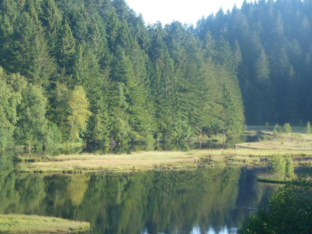 Domaine Des Hauts Viaux La Bresse Buitenkant foto