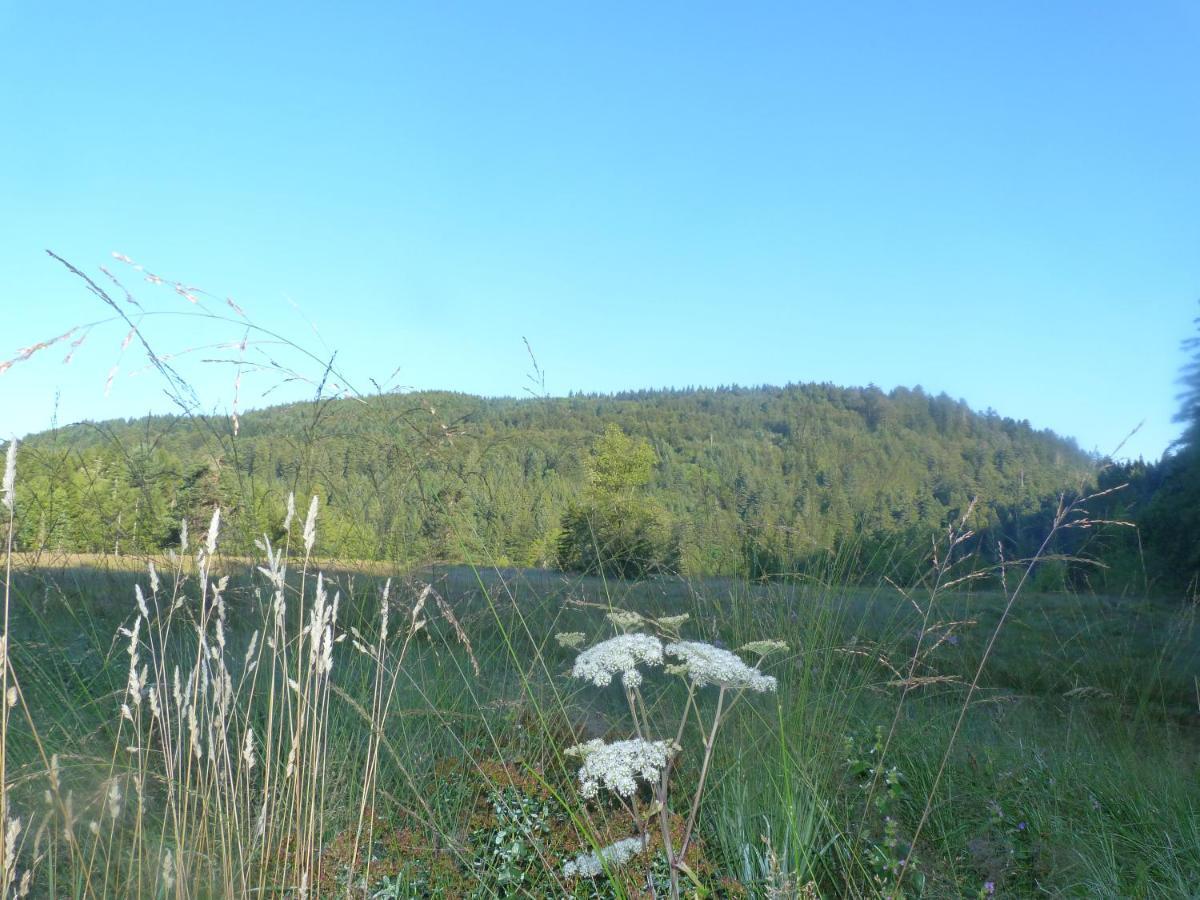 Domaine Des Hauts Viaux La Bresse Buitenkant foto