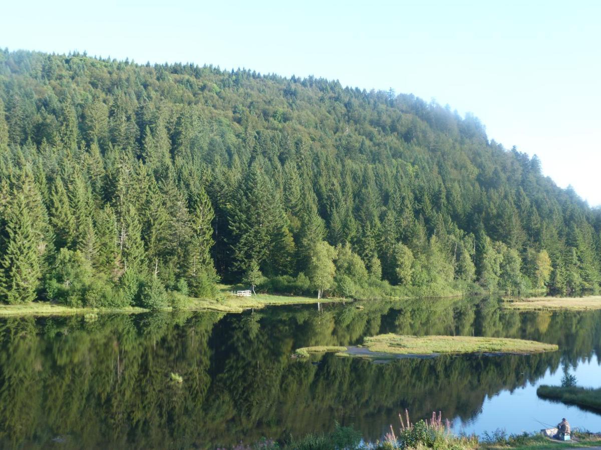 Domaine Des Hauts Viaux La Bresse Buitenkant foto