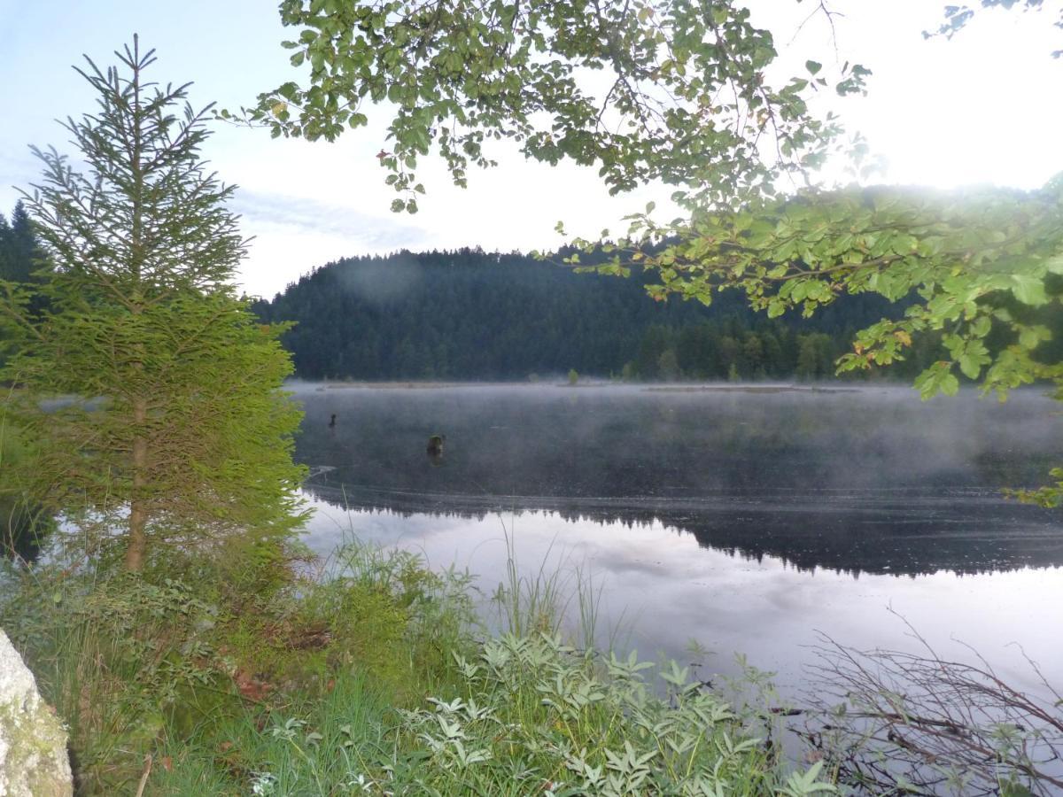 Domaine Des Hauts Viaux La Bresse Buitenkant foto